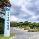 국립청주박물관 | 국립청주박물관 전시 입장료 후기 | 청주 당일치기 뚜벅이 여행