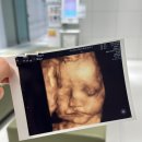 우리들사우나컷트 | 맞벌이 신혼부부 가계부 결산 (ft. 🤰놀러다니는 임산부🤰)