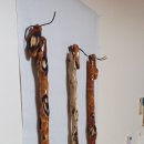 감태나무 (연수목 지팡이) 이미지