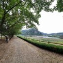 선바위(고추홍보전시관) | 영양 [선바위관광지]에서 남이정 석문교,선바위를 보며 산책