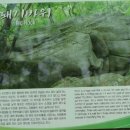 복터진날복돼지