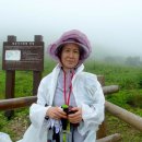 곰배령스케치 이미지