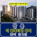 쌍용 더 플래티넘 황지 태백 지역주택조합 아파트 특별공급 타입별 공급 가격 문의 주택 홍보관 방문 사전예약 안내 이미지