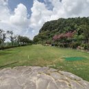 강정동-57 이미지