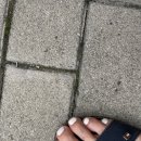 아이보릿디자인 이미지