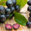 아로니아 이미지