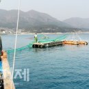 양화마을 이미지