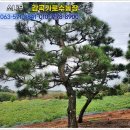 무원농장 이미지