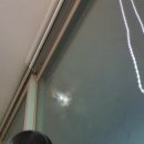 대성태권도 이미지