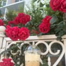 자양다방 이미지