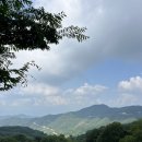 합천농협묘산지점 | 첫 캠핑 &#39;합천 황매산미리내파크오토캠핑장&#39; A1 사이트 후기 (24.6.14~15.)