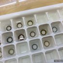 성서밝은안경원 | 재난지원금으로 저렴하게 렌즈구매!! 으뜸안경원 대구다사점에서 :)