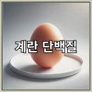 노른자 이미지