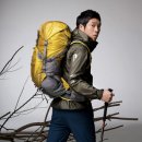 보니디자인