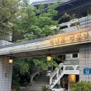 두 번째 벚꽃 | [연남동 카페] 벚꽃 없이도 완벽한 빈티지 감성, ‘연남동 벚꽃집’ 두 번째 방문 후기