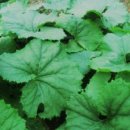 참좋은농장 이미지