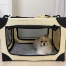하나켄넬 | 강아지 소프트켄넬 추천 4.4kg 포메라니안 실제 사용 후기