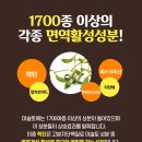 자라난 약초 이미지