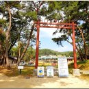 여주-0099 이미지