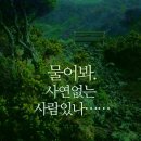 오늘도화이팅 이미지