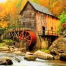 메기의 추억 이미지