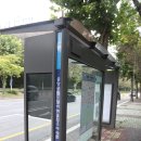 중앙공원.양지마을청구아파트 이미지