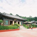 늦여름의 부산 산사(山寺) 나들이 이미지