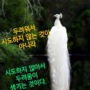 권선동 943 이미지