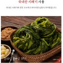 엔티링크 | 집밥이 그리울 때, 남원식 시래기 추어탕 후기 솔직 리뷰