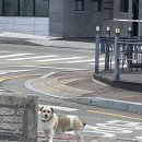 무봉리순대국대산점