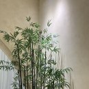 위드미광주첨단점 | [광주에스테틱] 첨단 도하담에스테틱 상체순환관리 후기!