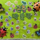 곤충 프로젝트- 곤충 1차 표상하기,곤충 간판꾸미기 이미지