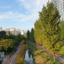 소나무여울공원 이미지