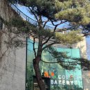 강변의 숲속 | 남양주 카페 추천 숲속카페 에이,플로르