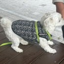 순희할매집 이미지