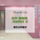 용인 동백에서 아이들과 가볼만한 곳, 용인시박물관 &#34;의령남씨의 문예와 대가&#34; 특별전시 관람 후기