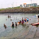 실망스러웠던 제주 판포포구 스노쿨링 포인트
