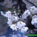 풍천농장 이미지