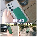미니버디