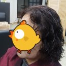 리 (Lee) 헤어 이미지