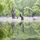 청송휴가 이미지