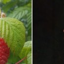 바른바디신경과의원 이미지