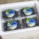 산막골 농장 이미지