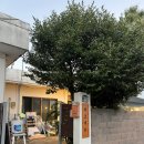 제주도조용한게스트하우스산방산 이미지