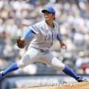 안타코리아 이미지