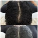 스테이무아 - 마포구 연남로7길 8 | 스테이무아