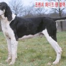 화이트 앤 블랙 이미지