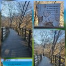 스테이 오년 | 공주 가볼만한곳 천년고찰 공주 마곡사 절 둘레길과 템플스테이 코스