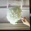 스텔라헤어 | 스텔라웨딩 / 본식 헤어메이크업 후기 흰수국부케 서비스