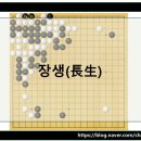 장생 이미지